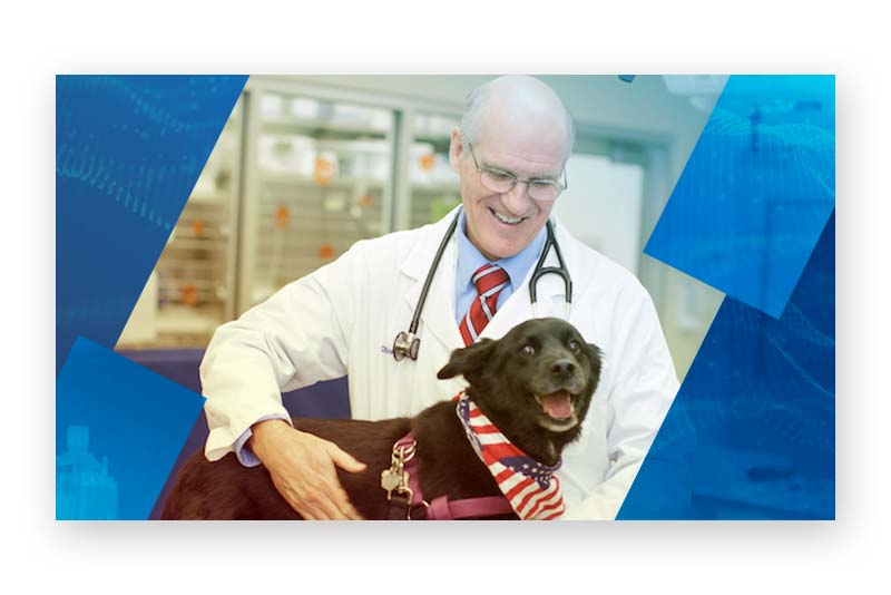 College of Veterinary Medicine